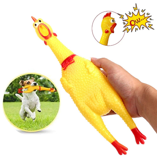 Dog Chicken Squeeze Squeak Toy